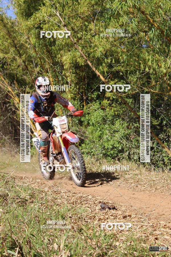 Buy your photos of the event4 Trilho dos Frangos on Fotop