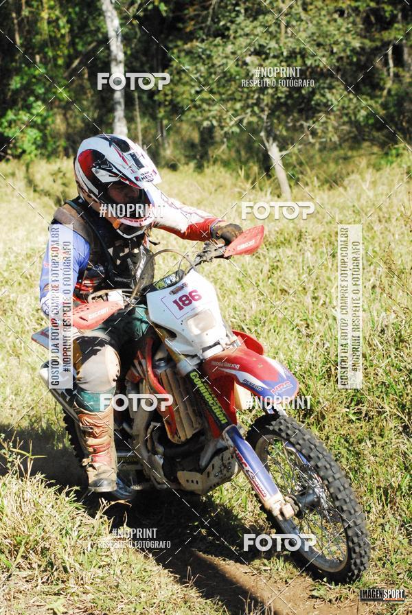 Buy your photos of the event4 Trilho dos Frangos on Fotop