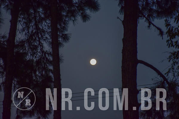 Buy your photos of the eventNR1 -  Kids 15 a 21/07/19 on Fotop