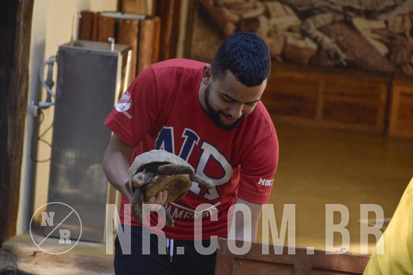 Buy your photos of the eventNR1 -  Kids 15 a 21/07/19 on Fotop