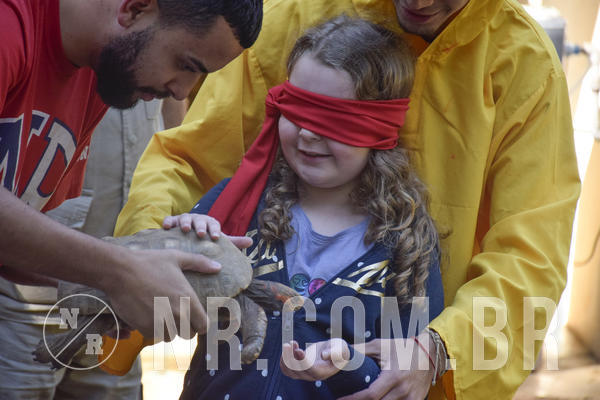 Buy your photos of the eventNR1 -  Kids 15 a 21/07/19 on Fotop