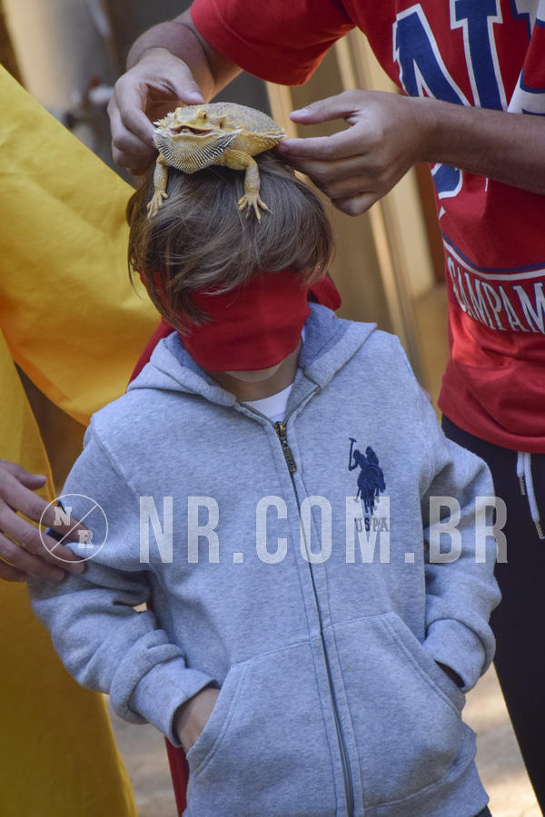 Buy your photos of the eventNR1 -  Kids 15 a 21/07/19 on Fotop