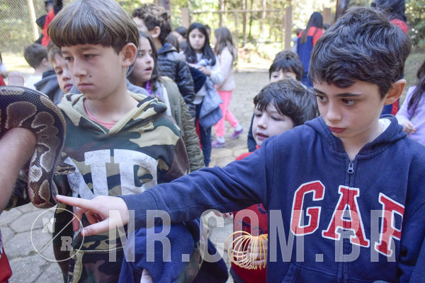 Buy your photos of the eventNR1 -  Kids 15 a 21/07/19 on Fotop