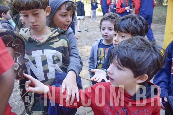 Buy your photos of the eventNR1 -  Kids 15 a 21/07/19 on Fotop