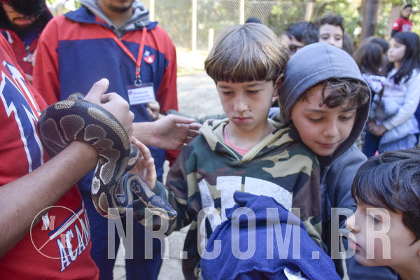 Buy your photos of the eventNR1 -  Kids 15 a 21/07/19 on Fotop