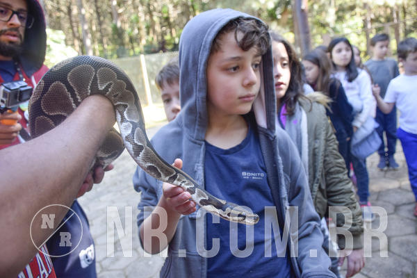 Buy your photos of the eventNR1 -  Kids 15 a 21/07/19 on Fotop