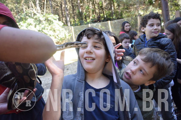 Buy your photos of the eventNR1 -  Kids 15 a 21/07/19 on Fotop