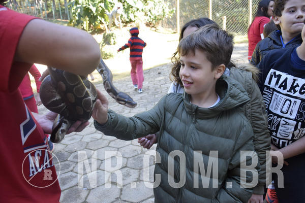 Buy your photos of the eventNR1 -  Kids 15 a 21/07/19 on Fotop