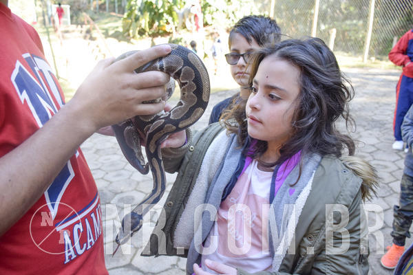 Buy your photos of the eventNR1 -  Kids 15 a 21/07/19 on Fotop