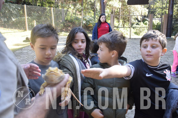 Buy your photos of the eventNR1 -  Kids 15 a 21/07/19 on Fotop