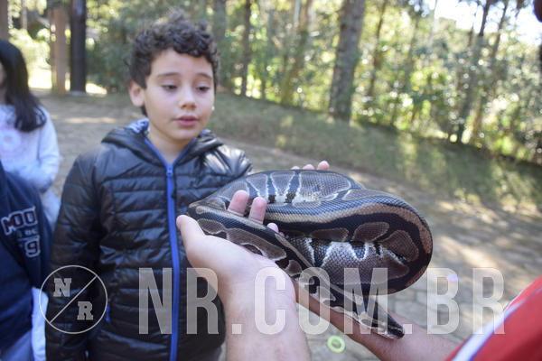 Buy your photos of the eventNR1 -  Kids 15 a 21/07/19 on Fotop