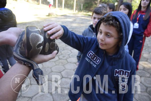 Buy your photos of the eventNR1 -  Kids 15 a 21/07/19 on Fotop