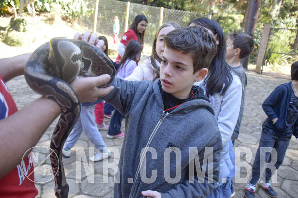 Buy your photos of the eventNR1 -  Kids 15 a 21/07/19 on Fotop