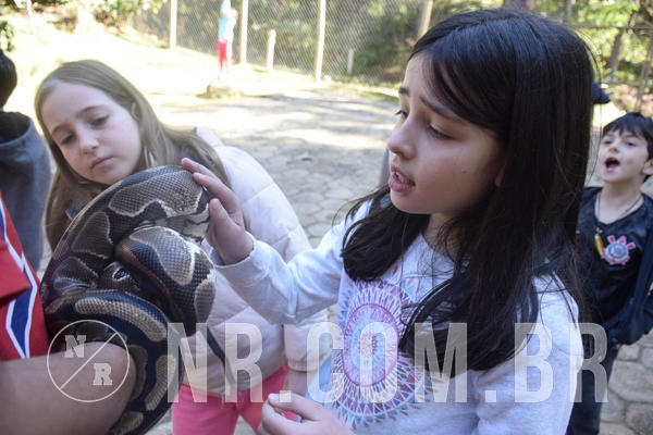 Buy your photos of the eventNR1 -  Kids 15 a 21/07/19 on Fotop