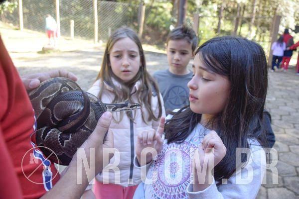 Buy your photos of the eventNR1 -  Kids 15 a 21/07/19 on Fotop