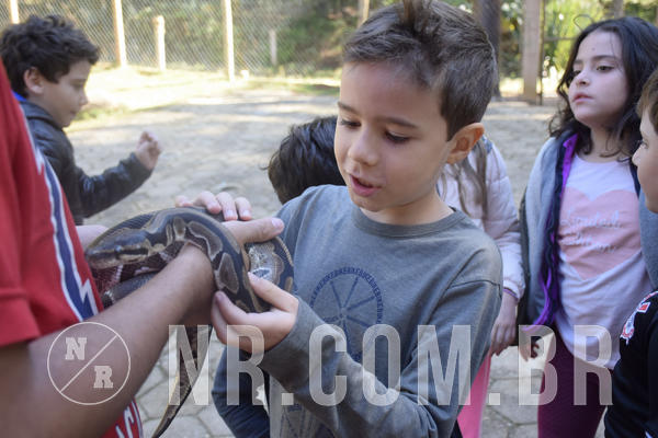 Buy your photos of the eventNR1 -  Kids 15 a 21/07/19 on Fotop