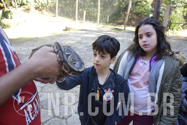 Buy your photos of the eventNR1 -  Kids 15 a 21/07/19 on Fotop