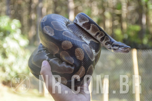 Buy your photos of the eventNR1 -  Kids 15 a 21/07/19 on Fotop