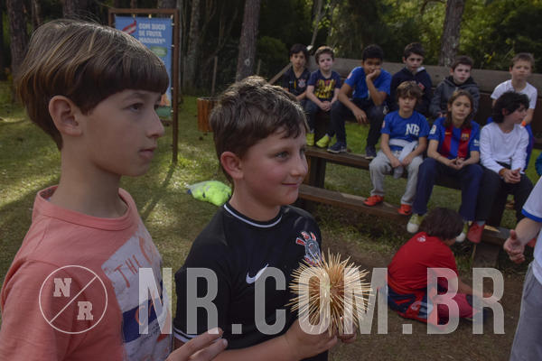 Buy your photos of the eventNR1 -  Kids 15 a 21/07/19 on Fotop