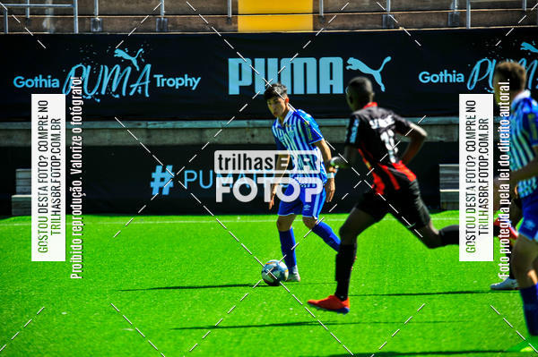 Buy your photos of the eventGothia Cup on Fotop