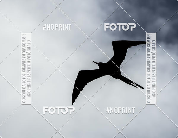 Buy your photos of the eventI Etapa Campeonato Baiano de VAA on Fotop