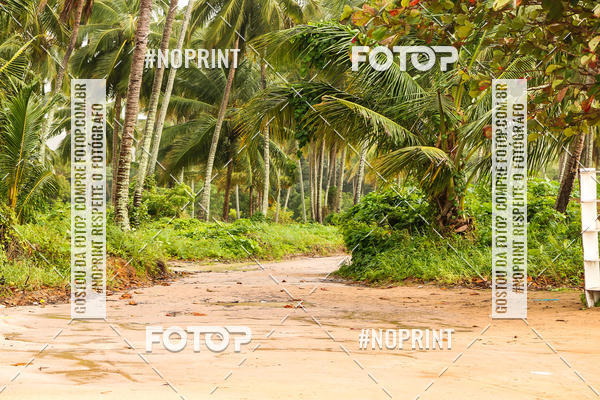 Buy your photos of the eventDesafio Trail Run Adventure  - Etapa Maragogi on Fotop