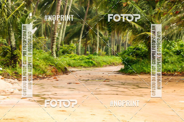 Buy your photos of the eventDesafio Trail Run Adventure  - Etapa Maragogi on Fotop