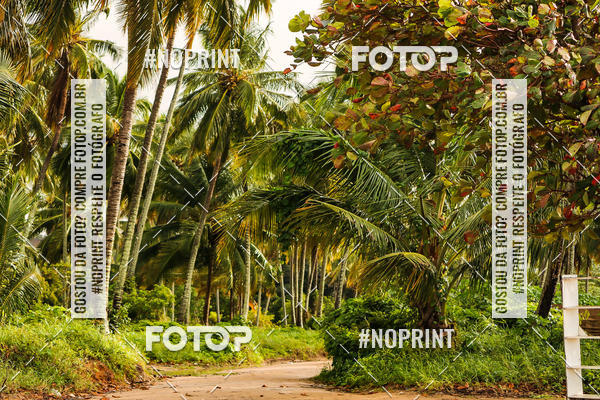 Buy your photos of the eventDesafio Trail Run Adventure  - Etapa Maragogi on Fotop