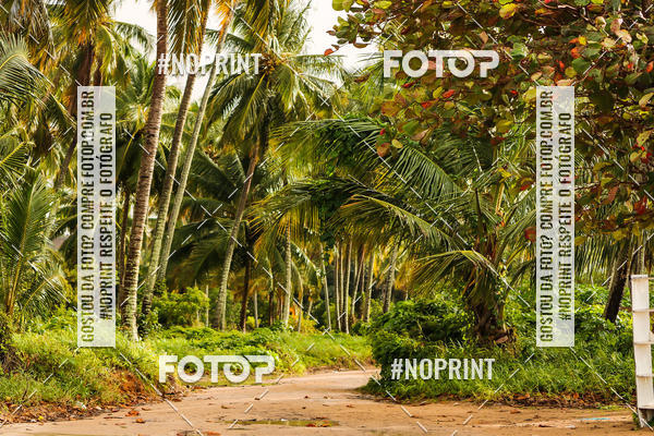 Buy your photos of the eventDesafio Trail Run Adventure  - Etapa Maragogi on Fotop