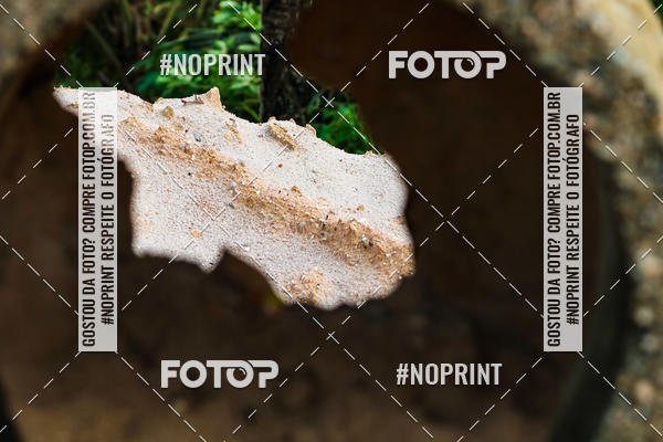 Buy your photos of the eventDesafio Trail Run Adventure  - Etapa Maragogi on Fotop