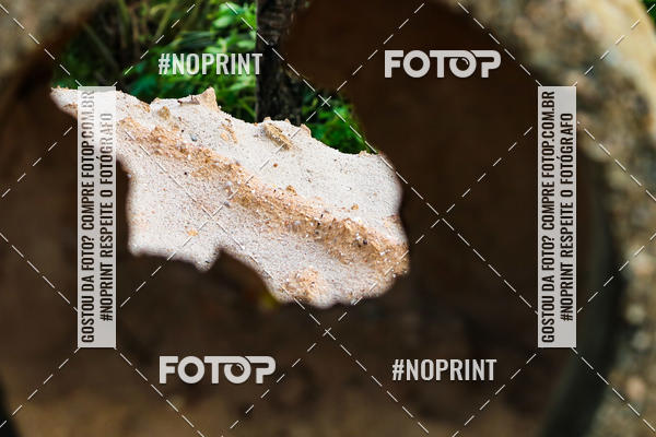 Buy your photos of the eventDesafio Trail Run Adventure  - Etapa Maragogi on Fotop