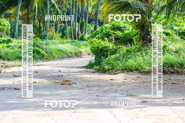 Buy your photos of the eventDesafio Trail Run Adventure  - Etapa Maragogi on Fotop