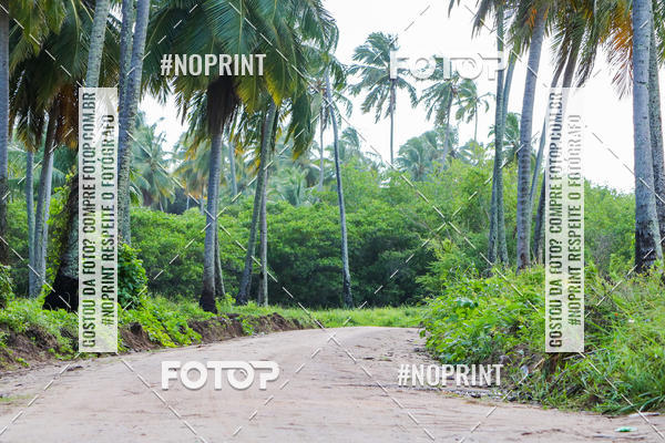 Buy your photos of the eventDesafio Trail Run Adventure  - Etapa Maragogi on Fotop