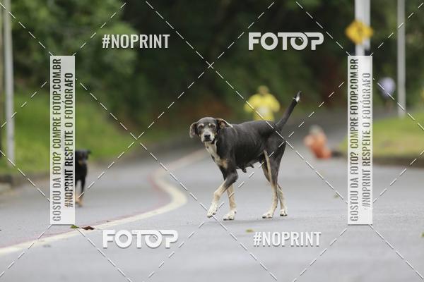 Buy your photos of the event2 CORRIDA PELA VIDA on Fotop