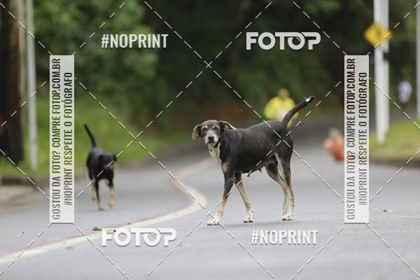 Buy your photos of the event2 CORRIDA PELA VIDA on Fotop