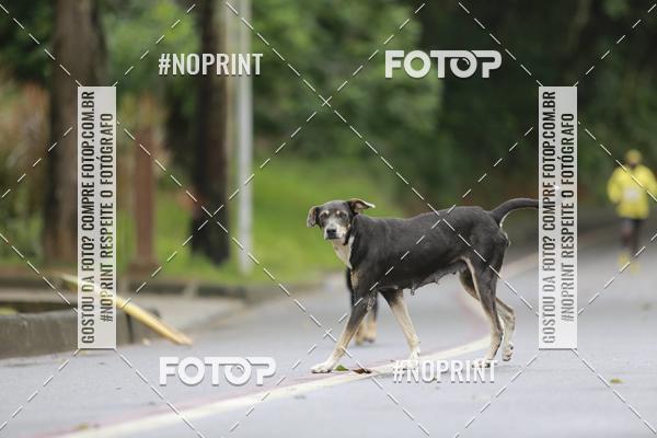 Buy your photos of the event2 CORRIDA PELA VIDA on Fotop