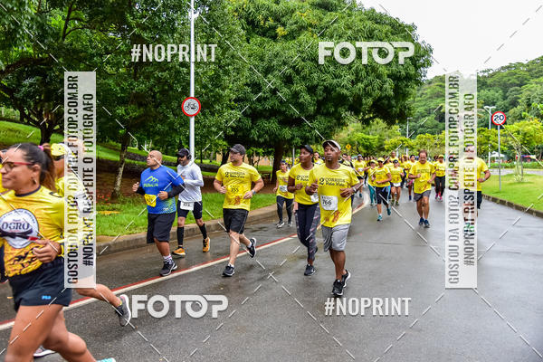 Buy your photos of the event2 CORRIDA PELA VIDA on Fotop