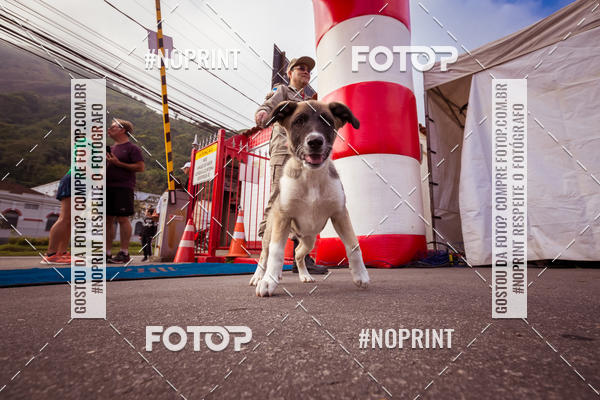 Buy your photos of the eventFire Run  Corrida do Corpo de Bombeiros Petrpolis on Fotop