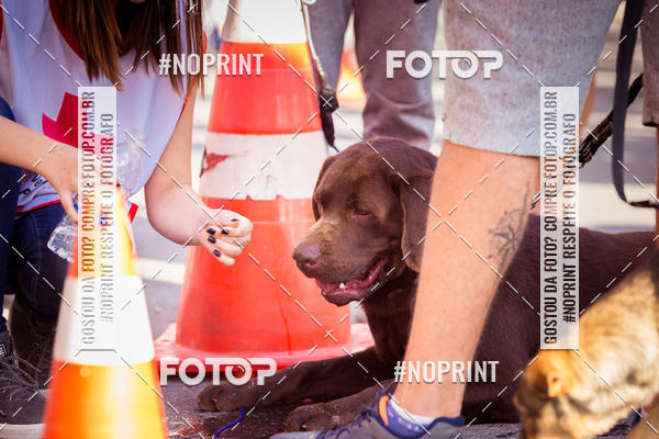 Buy your photos of the eventFire Run  Corrida do Corpo de Bombeiros Petrpolis on Fotop