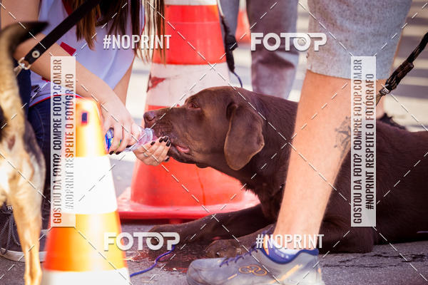 Buy your photos of the eventFire Run  Corrida do Corpo de Bombeiros Petrpolis on Fotop