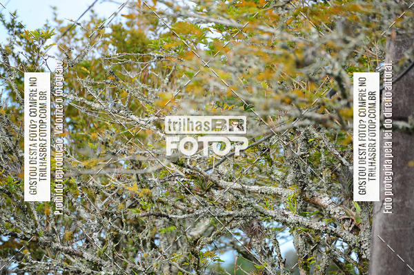 Buy your photos of the eventGiro  da Integrao - Brasil Itlia on Fotop