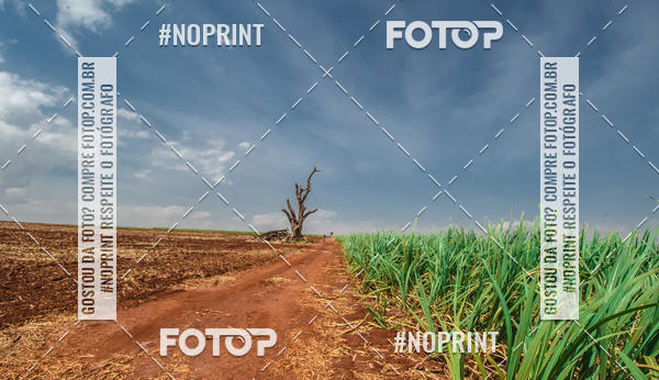 Buy your photos of the event6 ETAPA COPA SOUL on Fotop