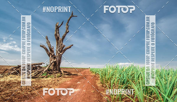 Buy your photos of the event6 ETAPA COPA SOUL on Fotop