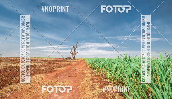 Buy your photos of the event6 ETAPA COPA SOUL on Fotop