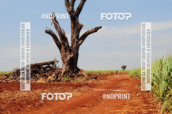 Buy your photos of the event6 ETAPA COPA SOUL on Fotop