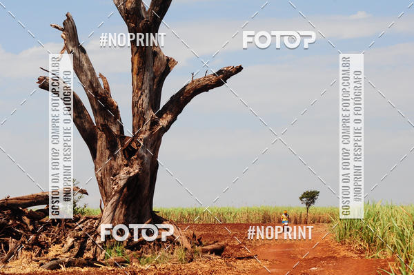 Buy your photos of the event6 ETAPA COPA SOUL on Fotop