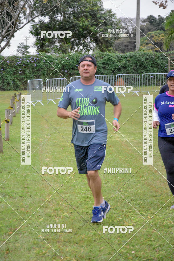 Buy your photos of the eventFeiju Running on Fotop