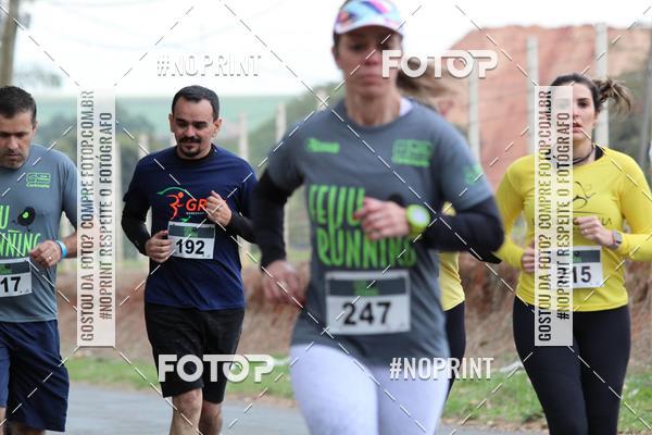 Buy your photos of the eventFeiju Running on Fotop