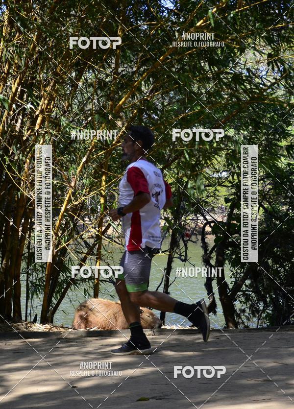 Buy your photos of the eventUltramarathon Internacional 24hs Run 2019 on Fotop
