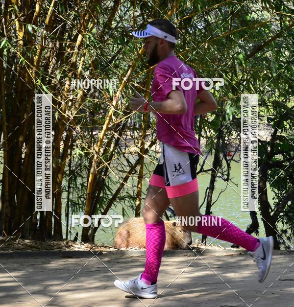 Buy your photos of the eventUltramarathon Internacional 24hs Run 2019 on Fotop